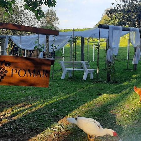 Casa Na Arvore Com Hidro, Piscina, Trilha, Cavalo 本图贡萨尔维斯 外观 照片