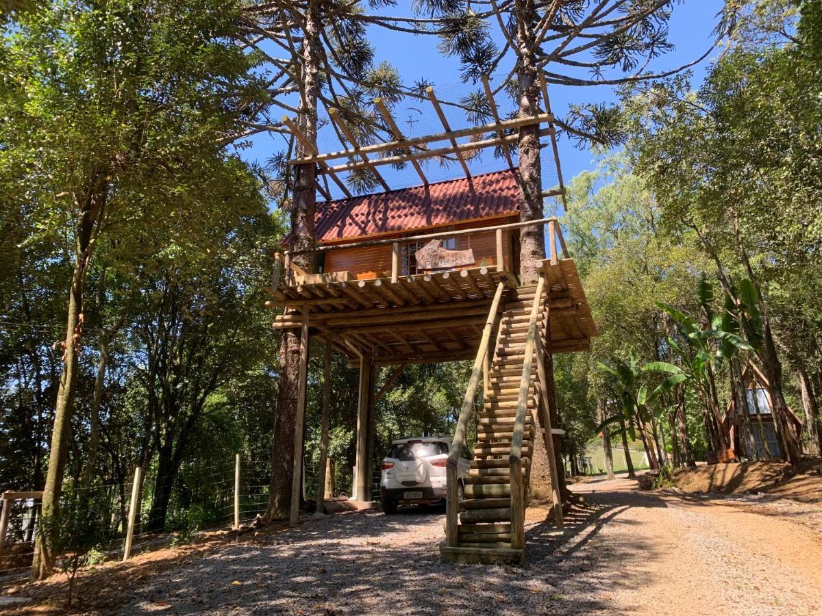 Casa Na Arvore Com Hidro, Piscina, Trilha, Cavalo 本图贡萨尔维斯 外观 照片