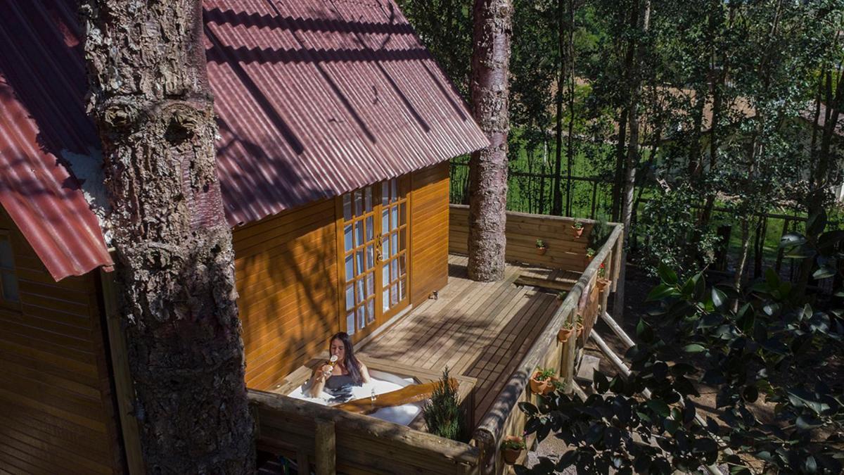 Casa Na Arvore Com Hidro, Piscina, Trilha, Cavalo 本图贡萨尔维斯 外观 照片