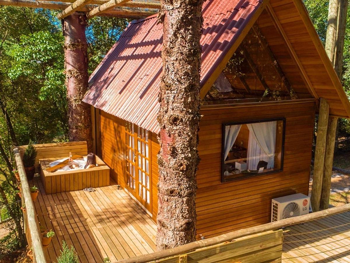 Casa Na Arvore Com Hidro, Piscina, Trilha, Cavalo 本图贡萨尔维斯 外观 照片