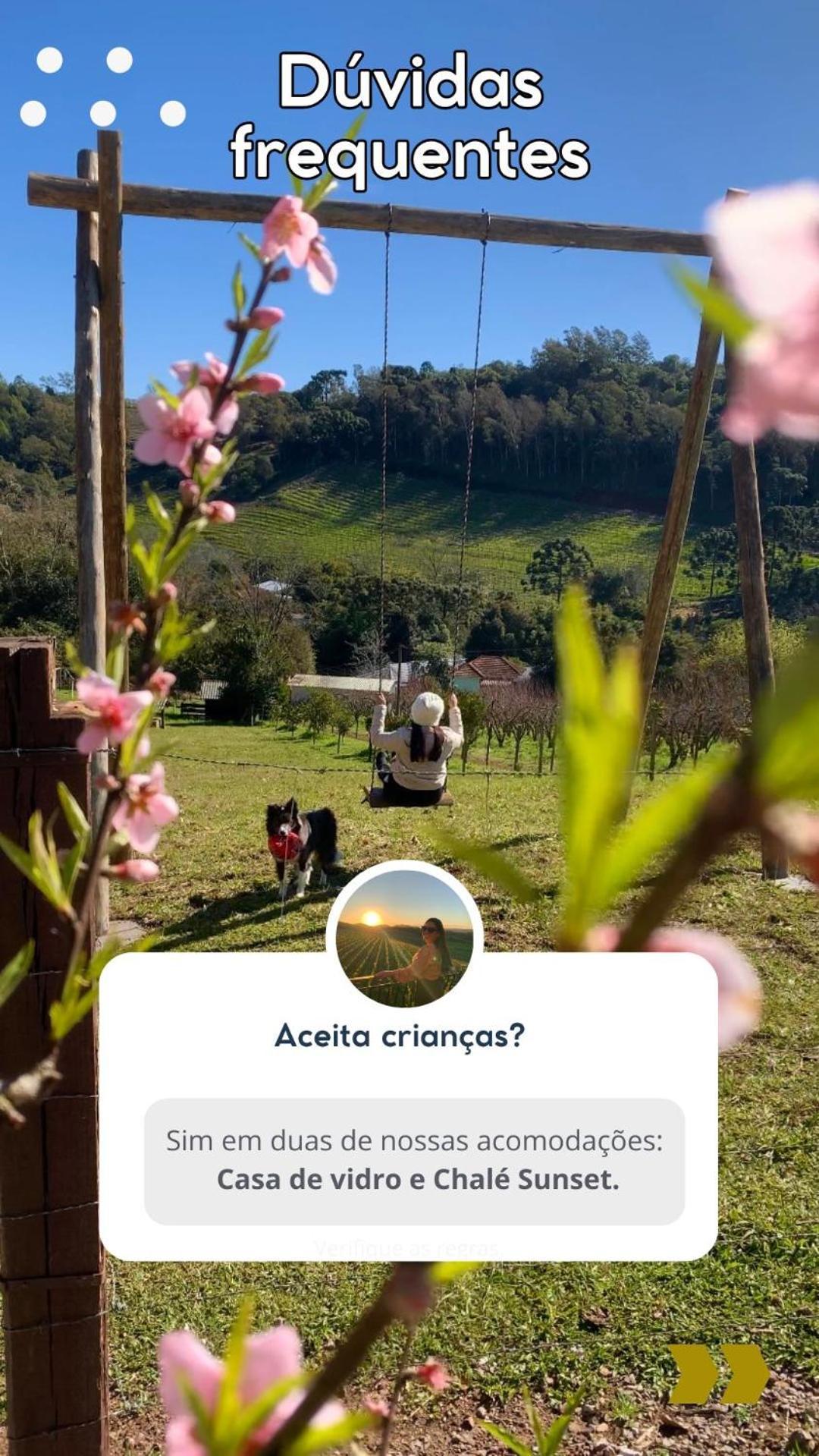 Casa Na Arvore Com Hidro, Piscina, Trilha, Cavalo 本图贡萨尔维斯 外观 照片