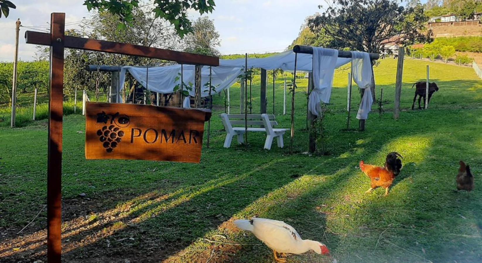 Casa Na Arvore Com Hidro, Piscina, Trilha, Cavalo 本图贡萨尔维斯 外观 照片